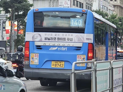 바닐라코