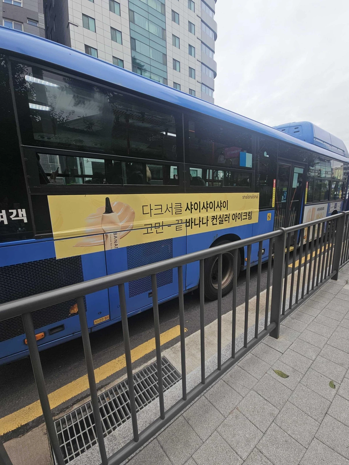 샤이샤이샤이 광고 이미지