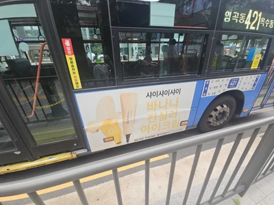 샤이샤이샤이