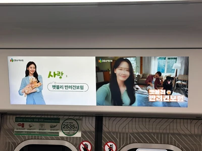 DB손해보험