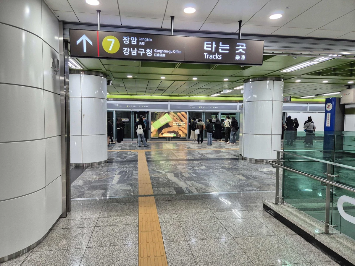 파믹 광고 이미지