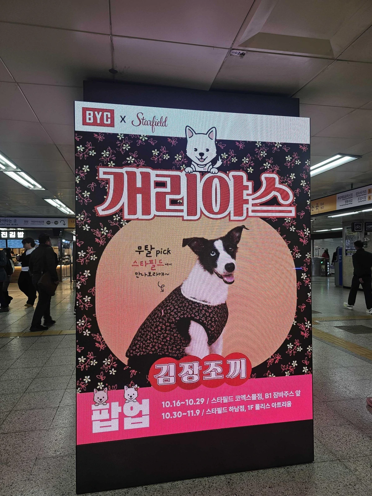 BYC 광고 이미지