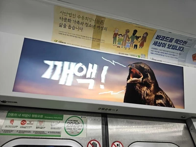 롯데칠성음료