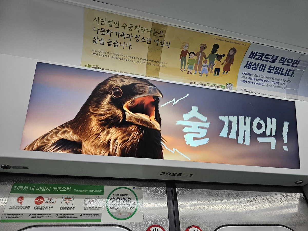 롯데칠성음료 광고 이미지