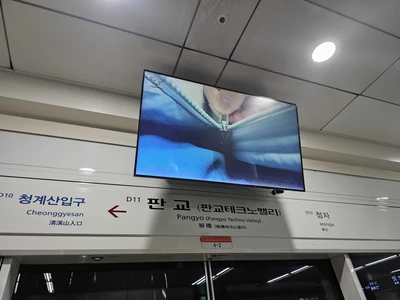 다이나핏
