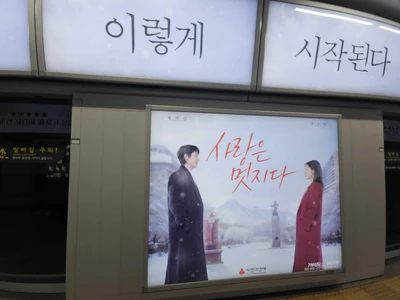 사랑의열매