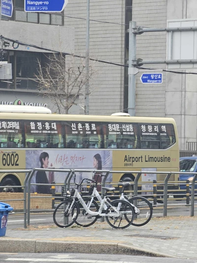 사랑의열매