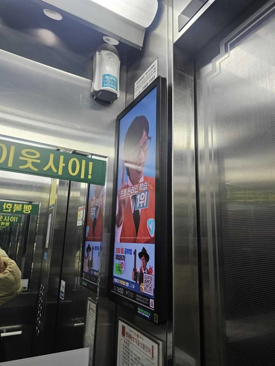엘리하이
