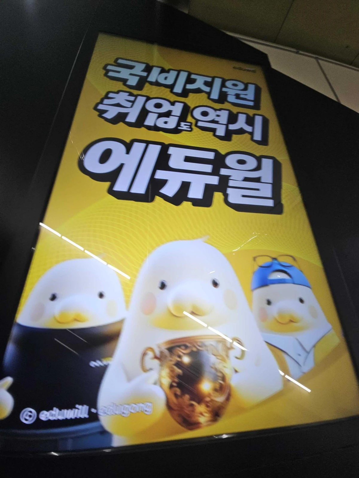 에듀윌 광고 이미지