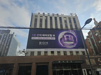 바이오힐보