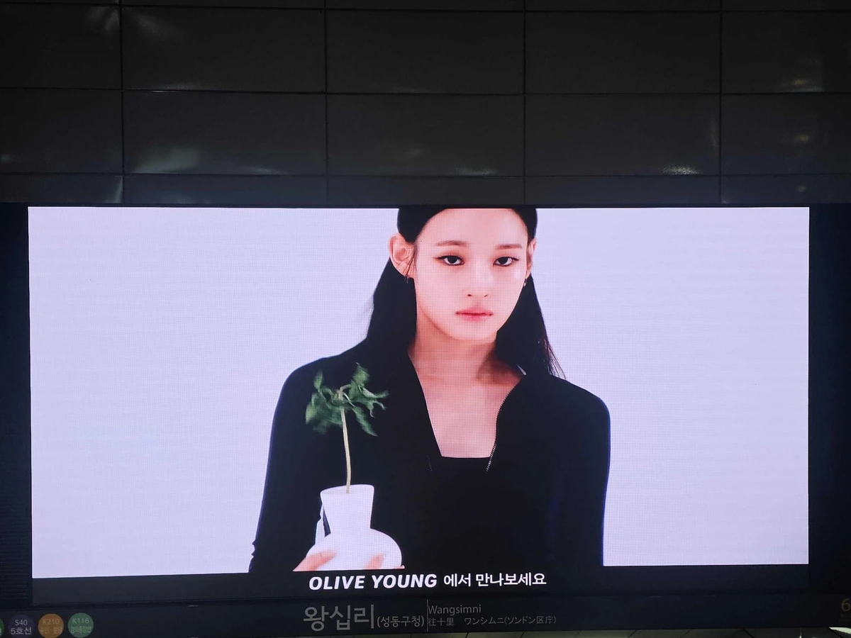VT코스메틱 광고 이미지