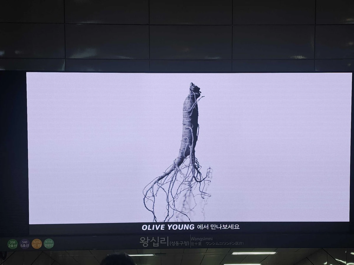 VT코스메틱 광고 이미지