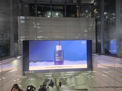 닥터지