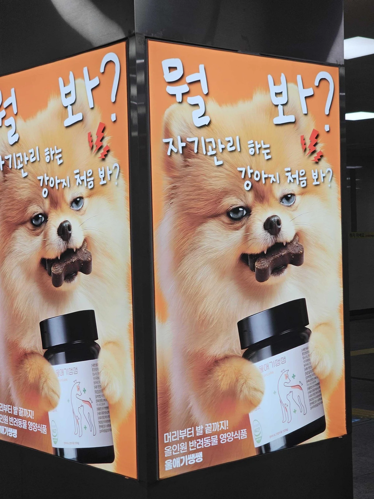 울애기쌩쌩 광고 이미지