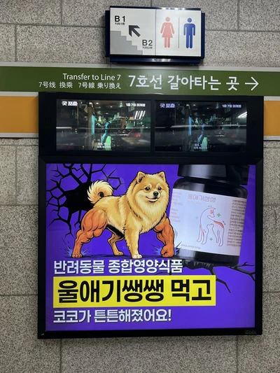 울애기쌩쌩
