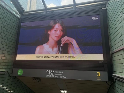 닥터지