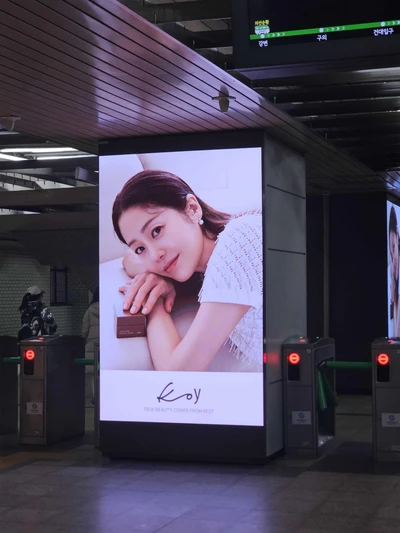 코이