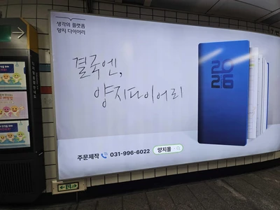 양지몰