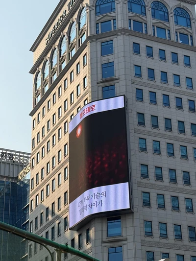 벨로테로