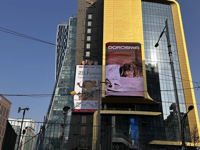 리나 슈퍼히어로