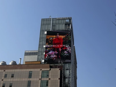 보테가 베네타
