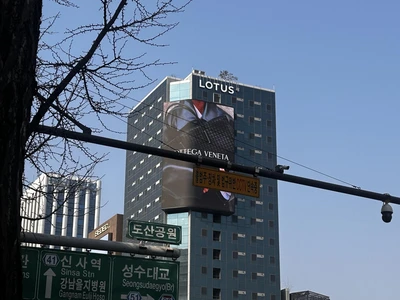 보테가 베네타
