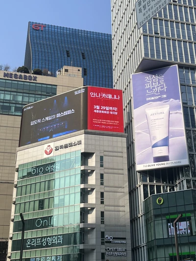 뮤지컬 안나 카레니나