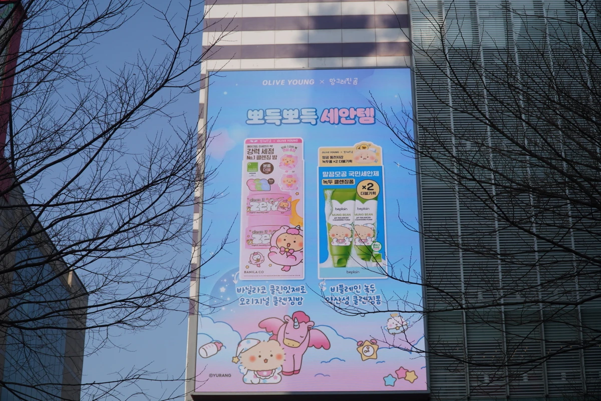 올리브영 광고 이미지