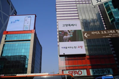 고양특례시