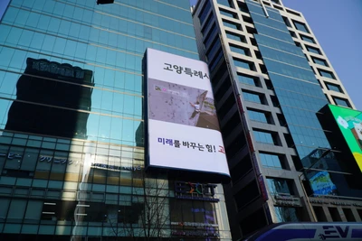 고양특례시