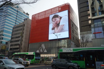 코이