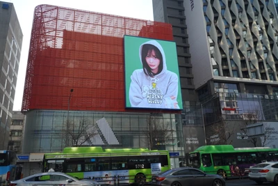 와키윌리