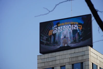 NH농협손해보험