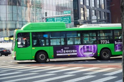 바이오힐보