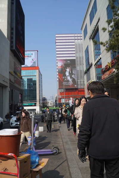 전지적 독자 시점