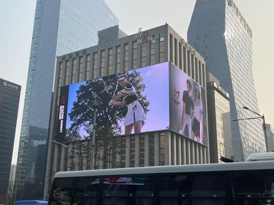 마스터바니에디션