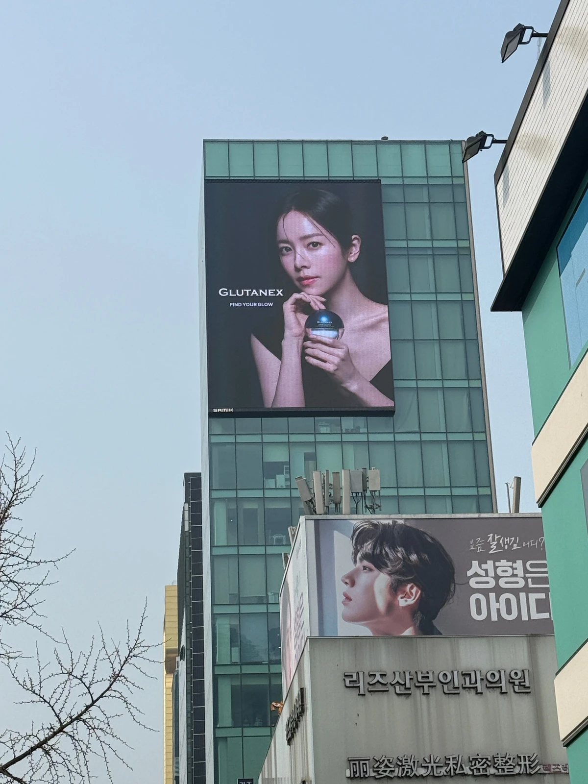 글루타넥스 광고 이미지