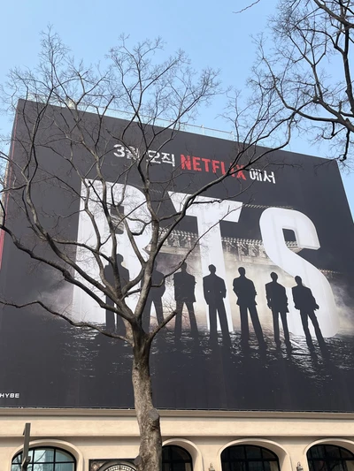 넷플릭스