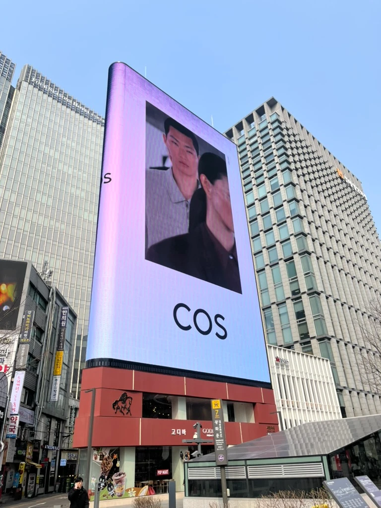 COS 광고 이미지