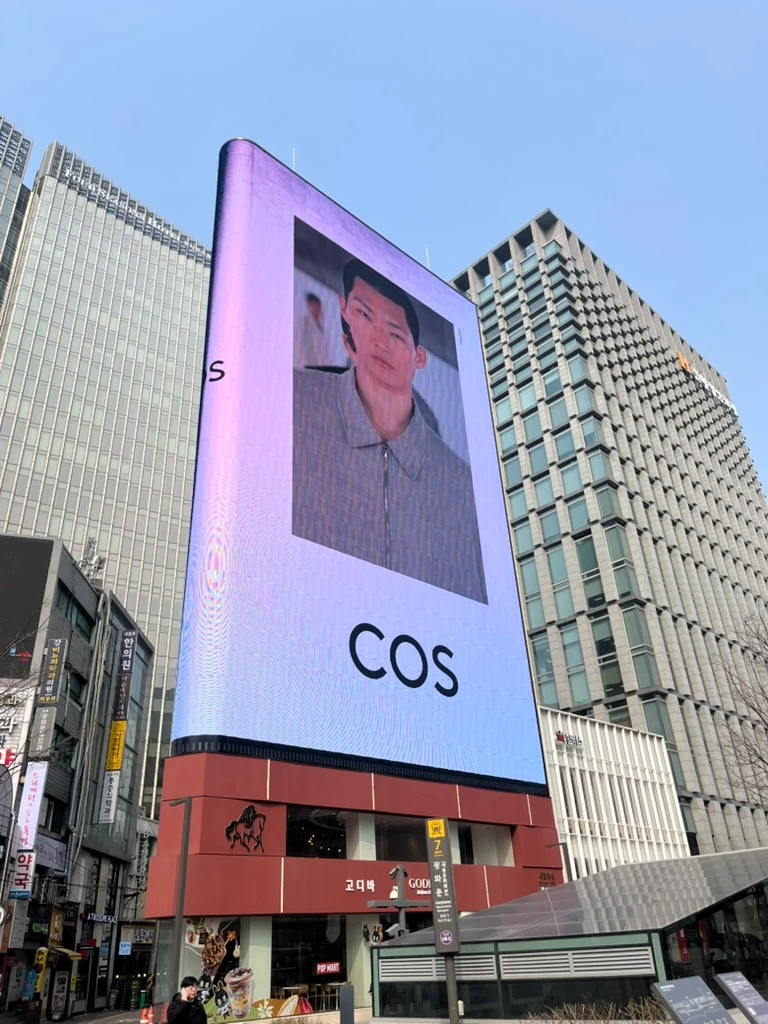 COS 광고 이미지