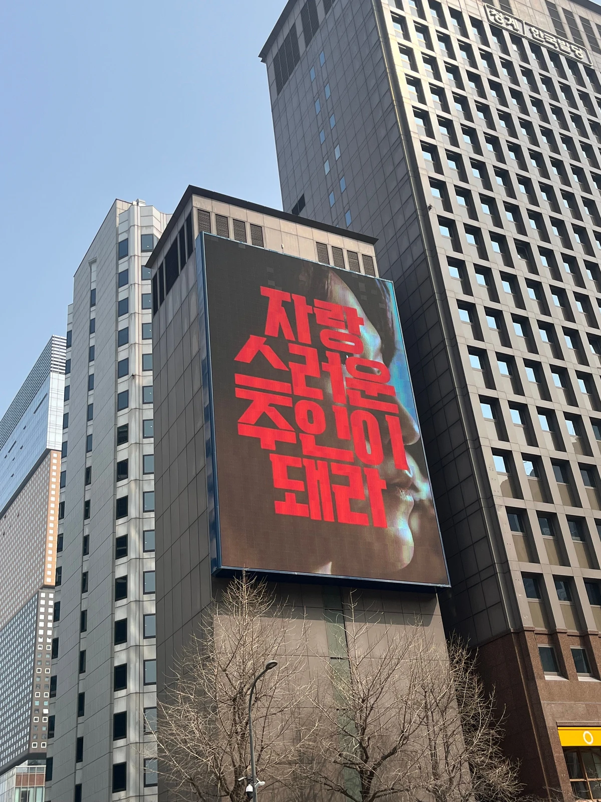 엔카 광고 이미지