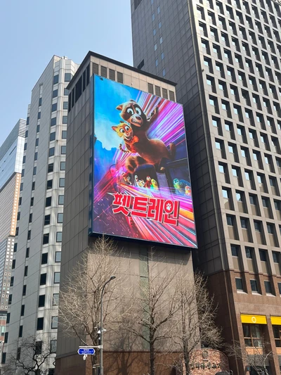 펫트레인