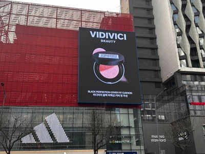 VIDIVICI