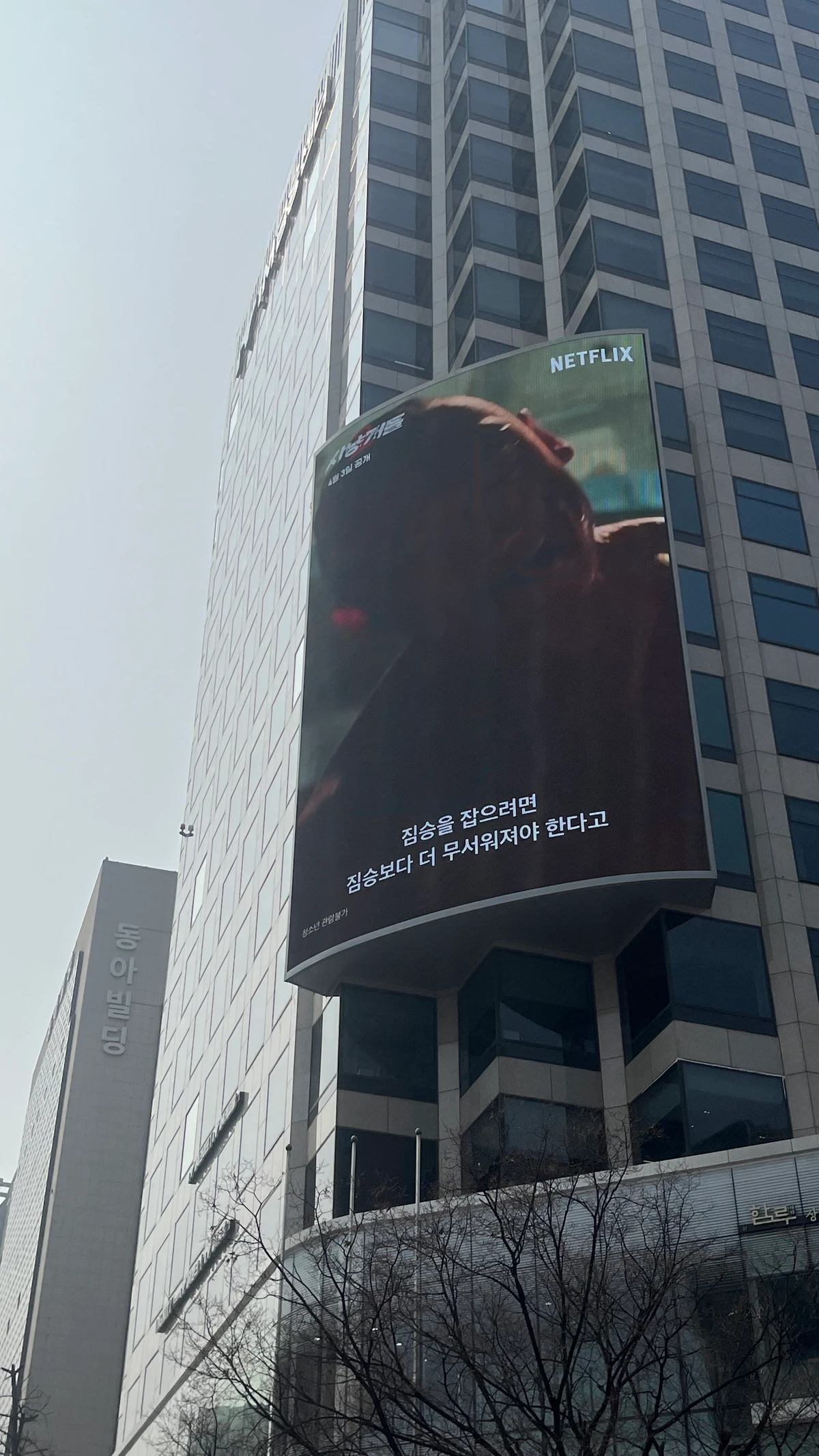 넷플릭스 광고 이미지