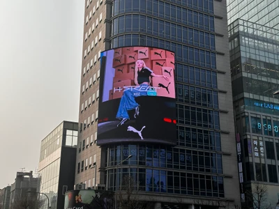 퓨마