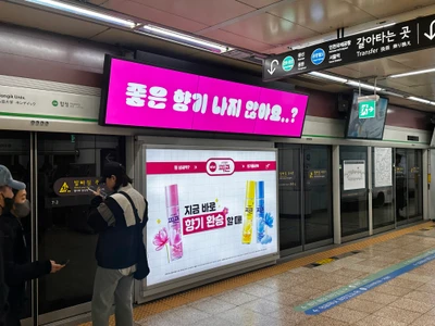 피죤