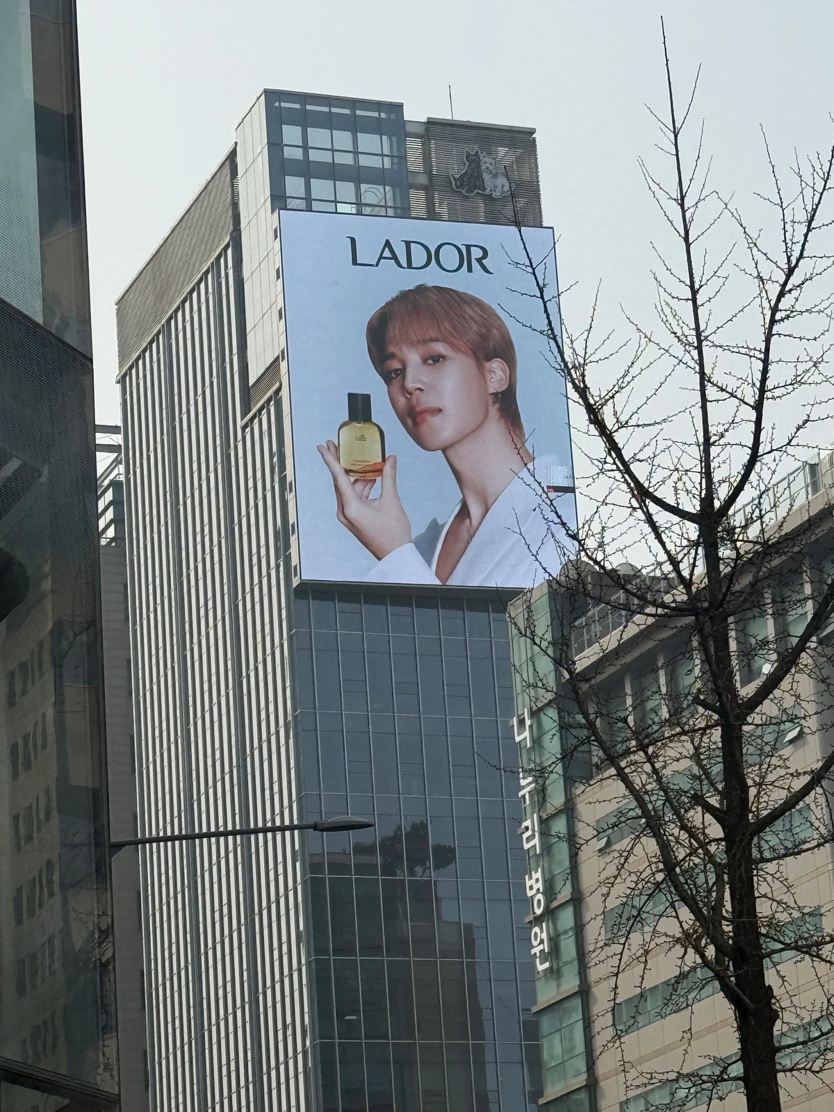 아도르 광고 이미지