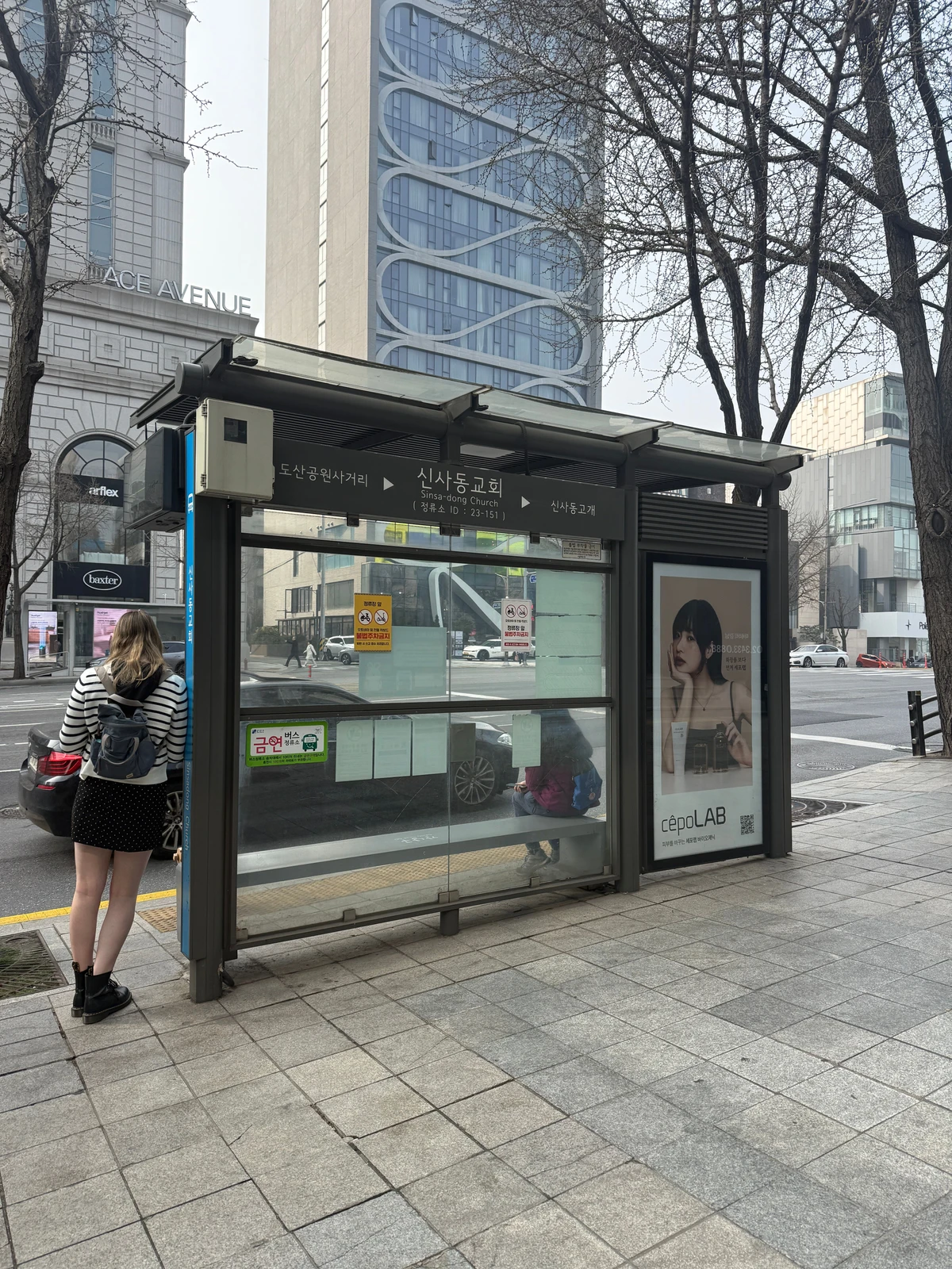 세포랩 광고 이미지