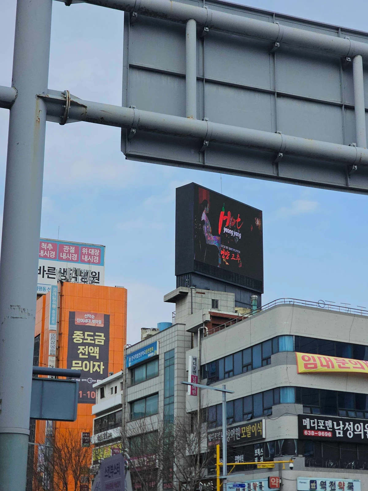 영양군 광고 이미지