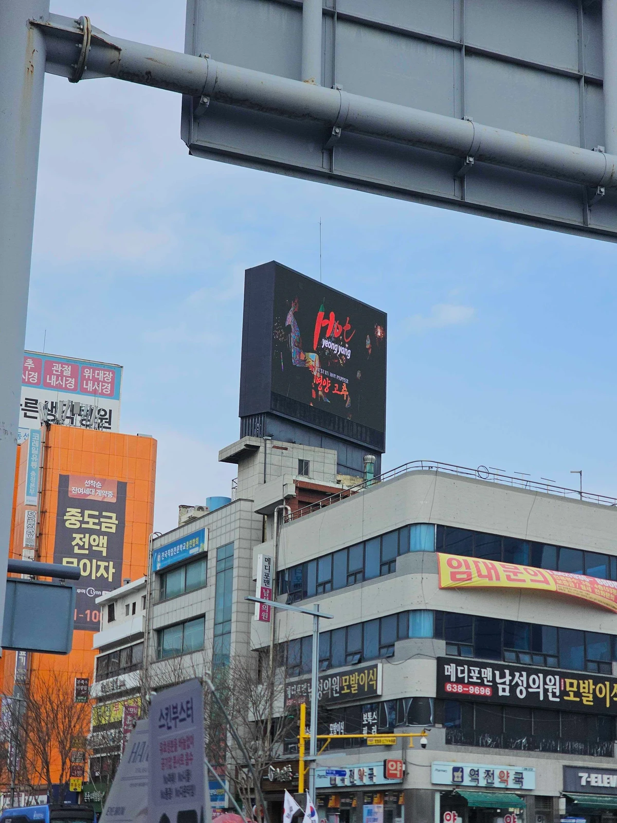 영양군 광고 이미지